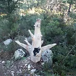 By The Sea Pomena, Mljet - 614 公寓 波梅纳