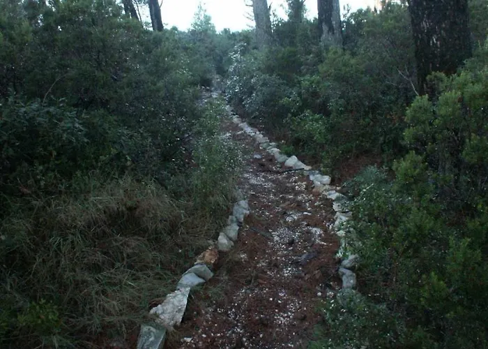 Apartment By The Sea Pomena, Mljet - 614