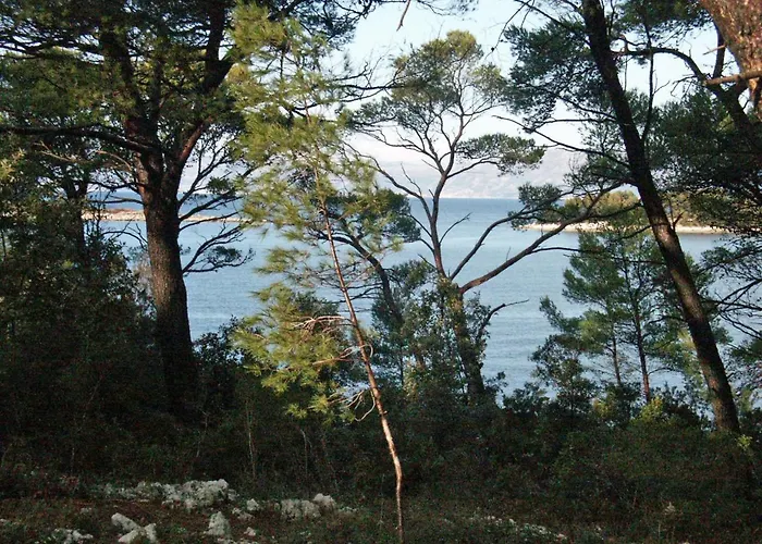 By The Sea Pomena, Mljet - 614 Apartment *