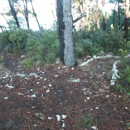 Διαμέρισμα By The Sea Pomena, Mljet - 614
