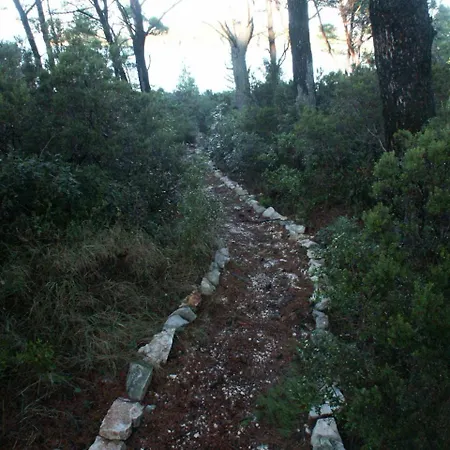 アパート By The Sea Pomena, Mljet - 614