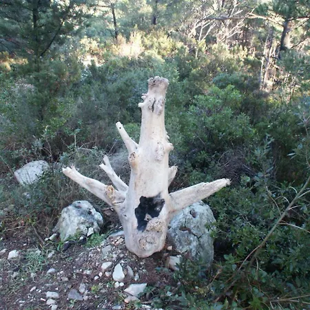 By The Sea Pomena, Mljet - 614 Διαμέρισμα Pomena