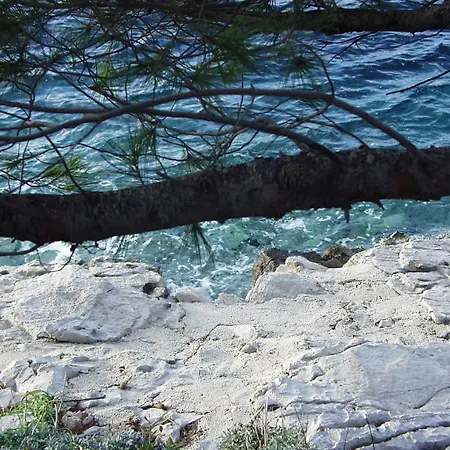 By The Sea Pomena, Mljet - 614 Pomena