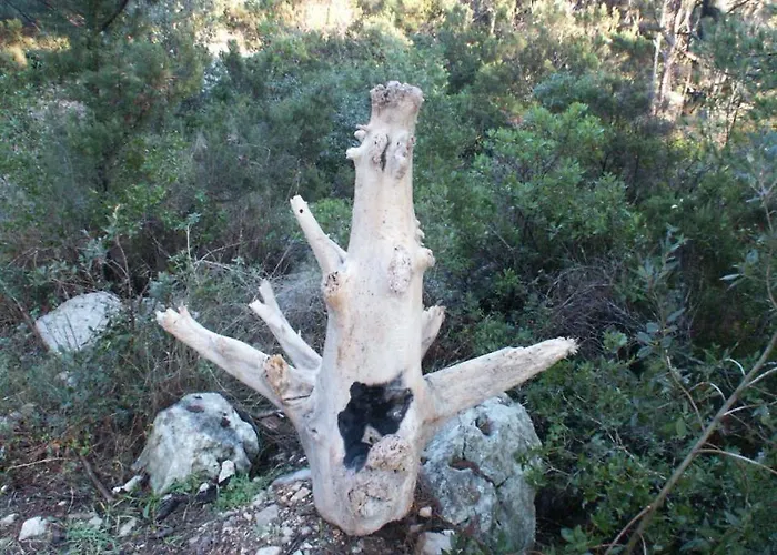 By The Sea Pomena, Mljet - 614 Apartament Pomena